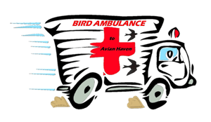 Bird Ambulance