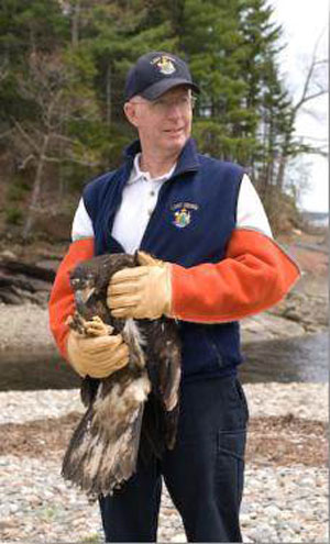 Ken about to release a young Bald Eagle