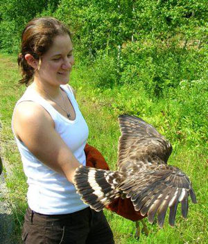 April and Broad-winged Hawk