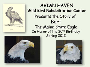 Bart's 30th birthday